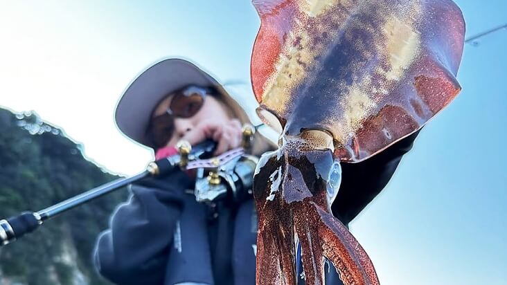 スクイッドマニア